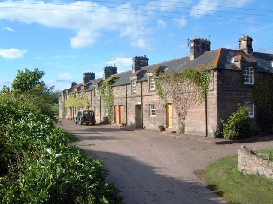 Doxford Farm Cottages Doxford Farm Cottages