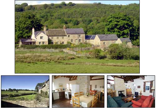 Pasture Cottage Pasture Cottage