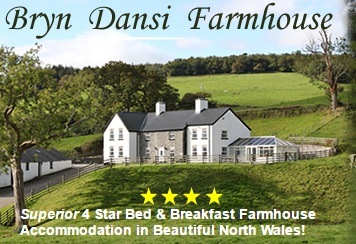 Bryn Dansi Bryn Dansi