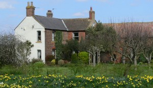 Lovesome Hill Farm Lovesome Hill Farm