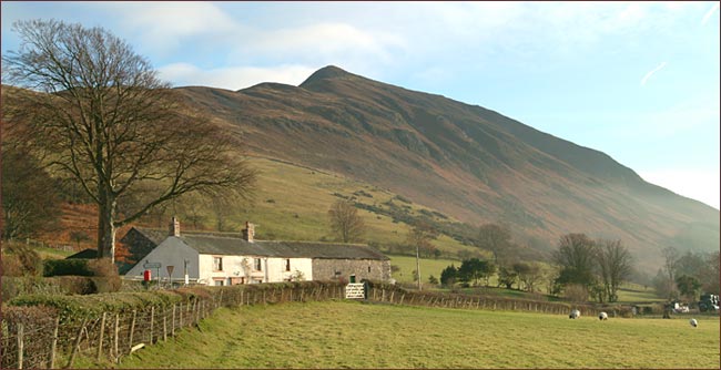 Highside Farm Highside Farm