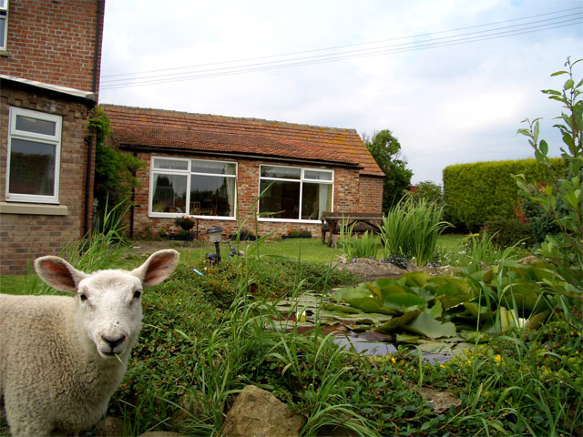 Thornton Lodge Farm Thornton Lodge Farm