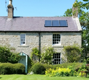 Newt Cottage Newt Cottage