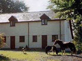 Bryngwenyn Farm Bryngwenyn Farm