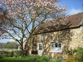 Clanville Manor Tallet Clanville Manor Tallet