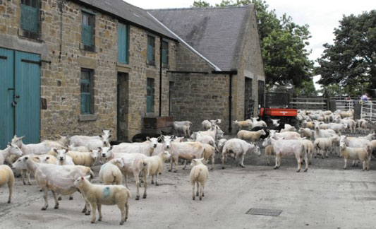 Eland Green Farm Eland Green Farm