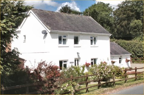 Pantycelyn Guest House Pantycelyn Guest House