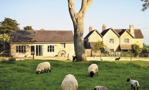 Potters Hill Farm Potters Hill Farm