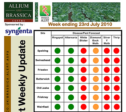 Red alert for brassica pests and disease Red alert for brassica pests and disease