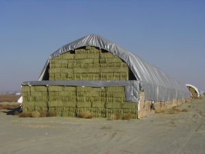 Protect your harvest with superior stack tarpaulin Protect your harvest with superior stack tarpaulin