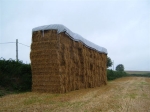 Protect your harvest with superior stack tarpaulin Protect your harvest with superior stack tarpaulin