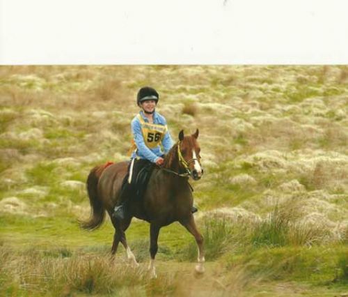 Katy Mellor Golden Horseshoe 2011 Katy Mellor Golden Horseshoe 2011