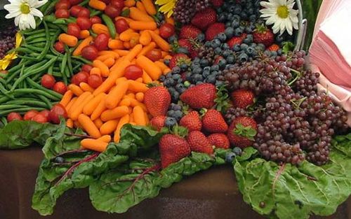 ... News - UK govrsquo;t rsquo;needs to encouragersquo; fresh produce diet ... News - UK govrsquo;t rsquo;needs to encouragersquo; fresh produce diet