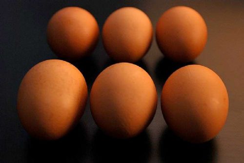 LOCOG underlines importance of British eggs LOCOG underlines importance of British eggs