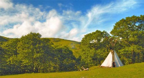Welsh egg producer serves up ’Glamping’ prize Welsh egg producer serves up ’Glamping’ prize