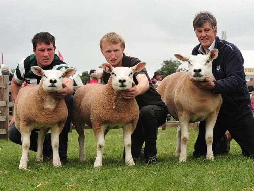 Ettrick flock to defend Champions Crown at Northumberland Ettrick flock to defend Champions Crown at Northumberland