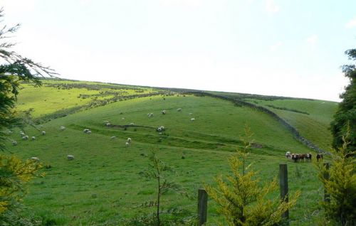 New income vital for Uplands future - CLA New income vital for Uplands future - CLA