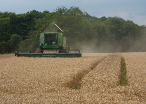 Food shortages 'a major threat to global security' Food shortages 'a major threat to global security'