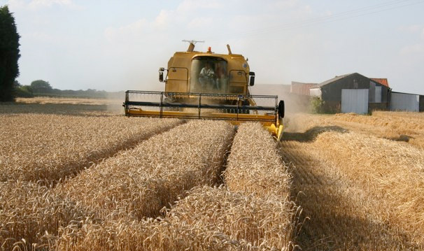 Farm returns could be hit by euro uncertainty Farm returns could be hit by euro uncertainty