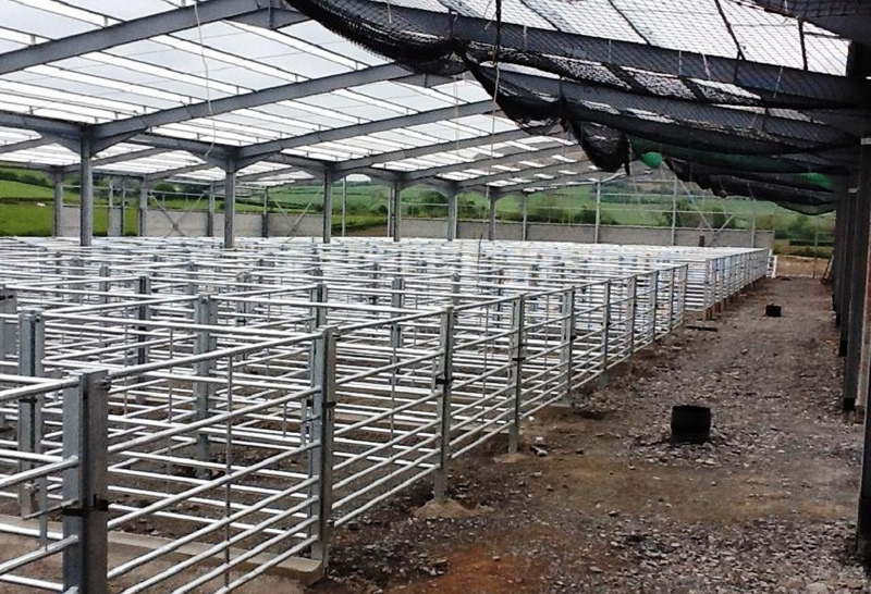 Galvanising firm goes the extra mile for cattle market Galvanising firm goes the extra mile for cattle market