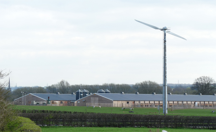 Can turbines and free range hens co-exist? Can turbines and free range hens co-exist?