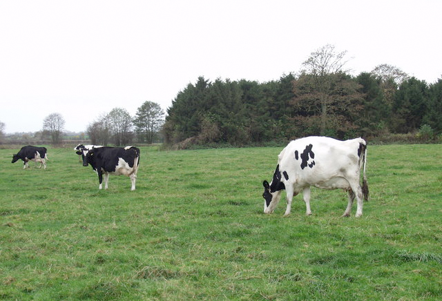 Current food supply could lead to severe price rises Current food supply could lead to severe price rises