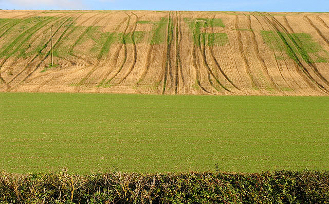 Defra outlines future of pesticides with draft plan Defra outlines future of pesticides with draft plan
