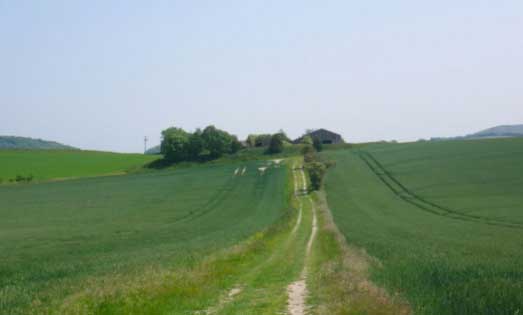 Farming loved but misunderstood, survey shows Farming loved but misunderstood, survey shows
