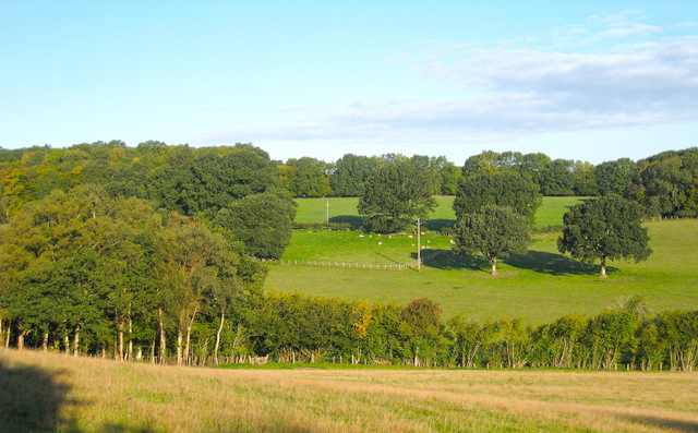 Government needs to 'honour green belt pledge' Government needs to 'honour green belt pledge'
