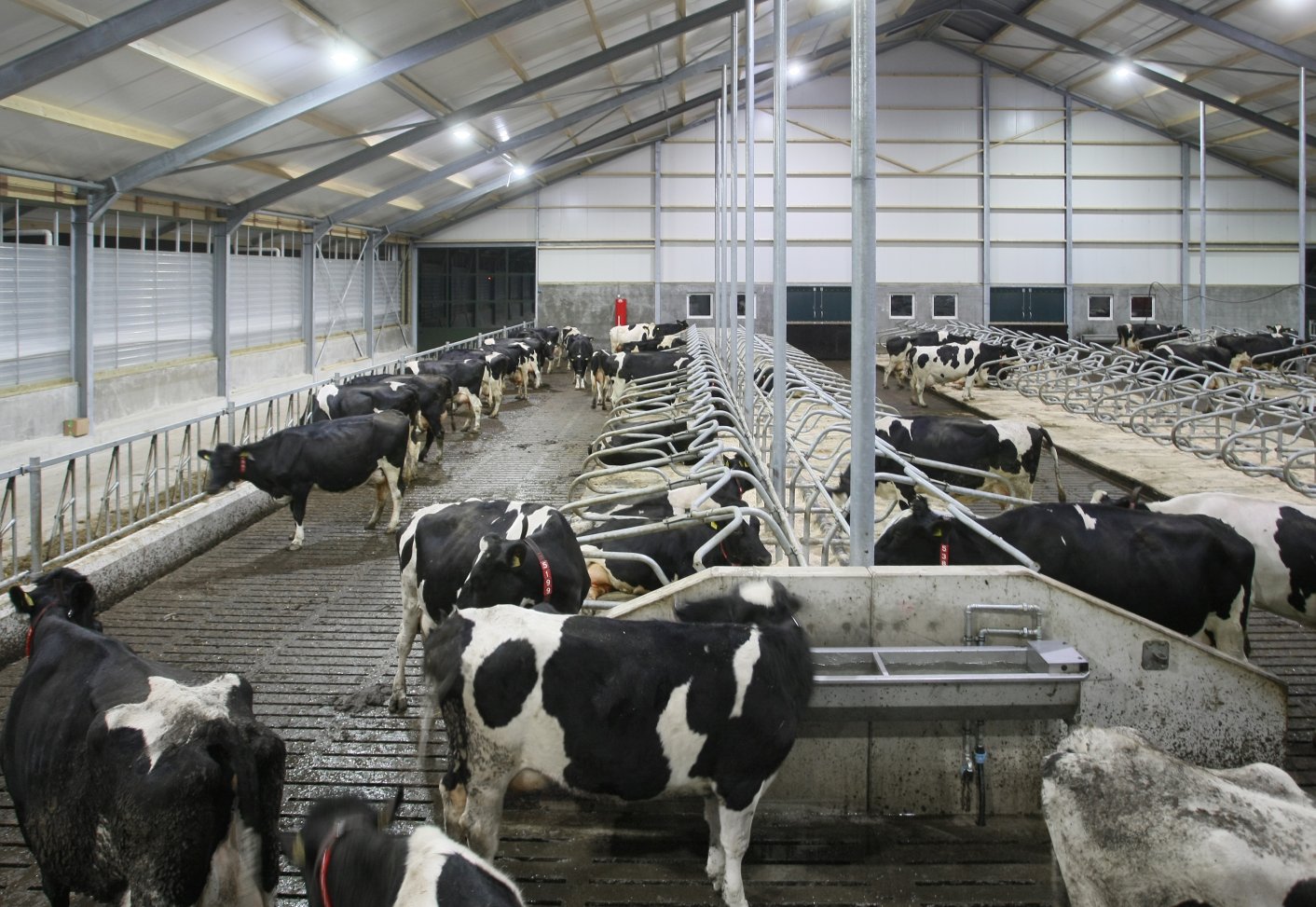 Farming UK News - Intershape is Lighting the Way to Higher Yields