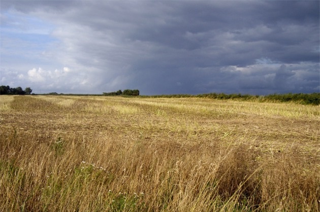Food prices to rise after bad weather hits 2012 harvest Food prices to rise after bad weather hits 2012 harvest