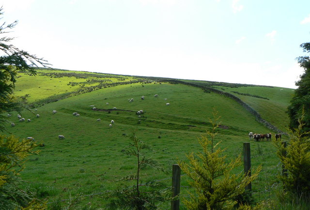 Reports show hill farmers continue to struggle Reports show hill farmers continue to struggle
