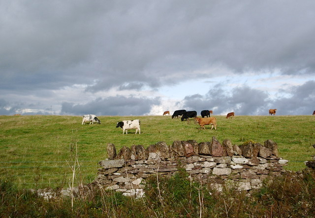 Defra announce new TB measures Defra announce new TB measures
