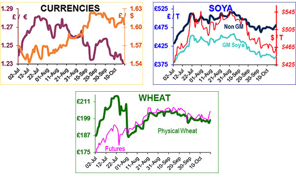 Maize decline linked to Brazil selling below US prices Maize decline linked to Brazil selling below US prices