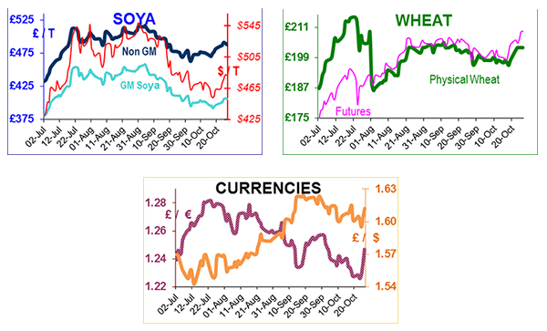 US has surplus wheat; Questions rise over China's wheat crop US has surplus wheat; Questions rise over China's wheat crop