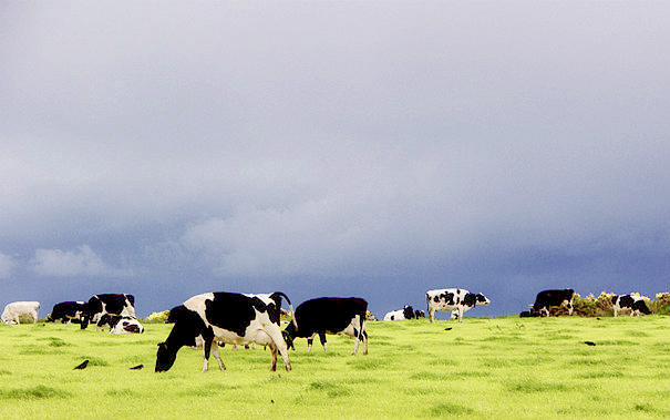 Dairy costs 'increasing at alarming rate' as union leaders meet Dairy costs 'increasing at alarming rate' as union leaders meet