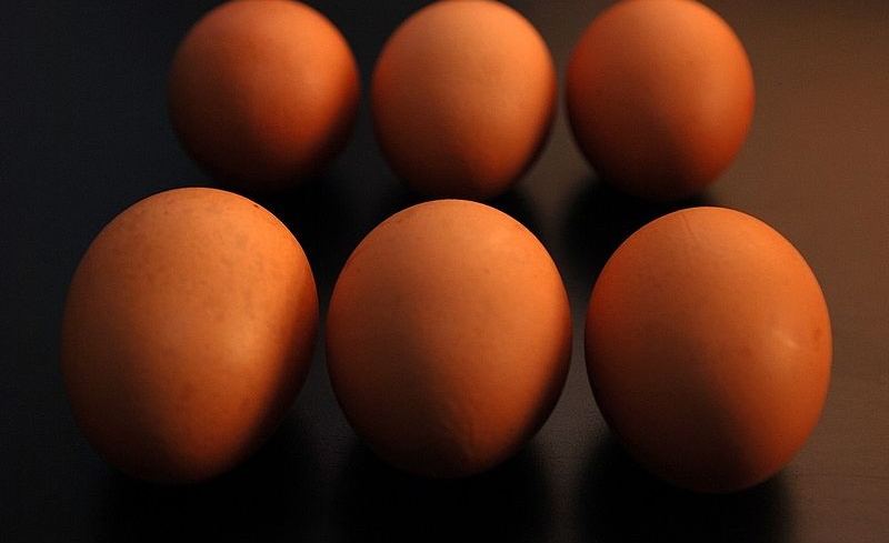 Hospital food welfare 'shocking' says survey Hospital food welfare 'shocking' says survey