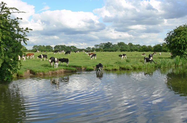 Long term farming industry 'looks positive' says Bailey Long term farming industry 'looks positive' says Bailey