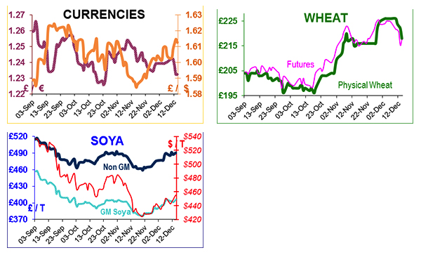 UK dependent on imported soya 'until we have GM' UK dependent on imported soya 'until we have GM'