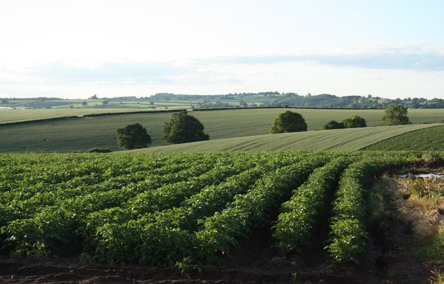 Event looks to improve grower contracting relationships Event looks to improve grower contracting relationships