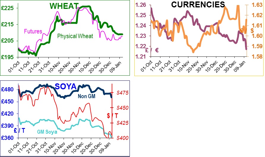 Commodity Market Report - 14th January 2013 Commodity Market Report - 14th January 2013