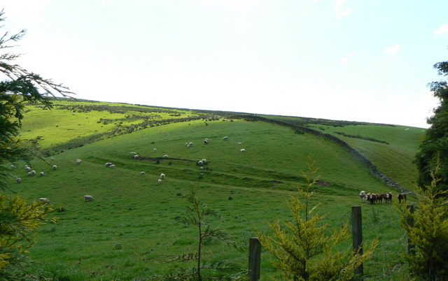 Farm incomes reveal pressure as costs continue to rise Farm incomes reveal pressure as costs continue to rise