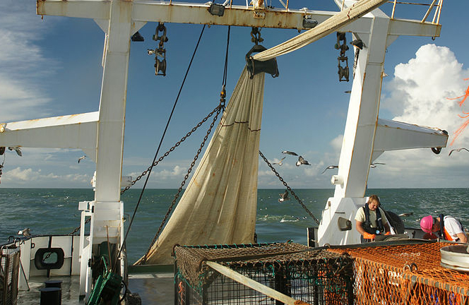 Fisheries ministers agree date for dumping ban Fisheries ministers agree date for dumping ban