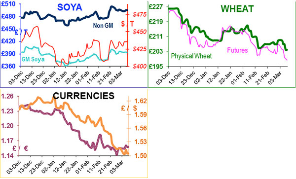 US wheat prices hit eight-month low US wheat prices hit eight-month low