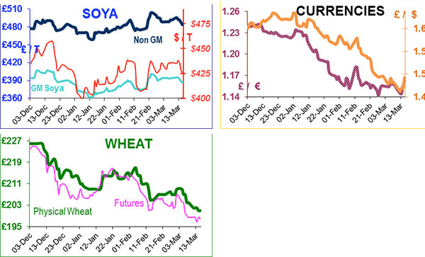 Drought could reduce Russian winter wheat yield Drought could reduce Russian winter wheat yield