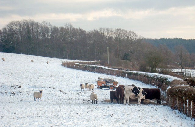 Snow-hit farmers urge government for financial support Snow-hit farmers urge government for financial support