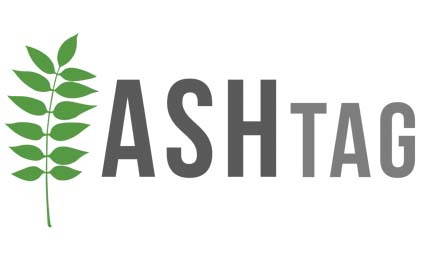Ash tagging project to unlock secret of disease resistant trees Ash tagging project to unlock secret of disease resistant trees