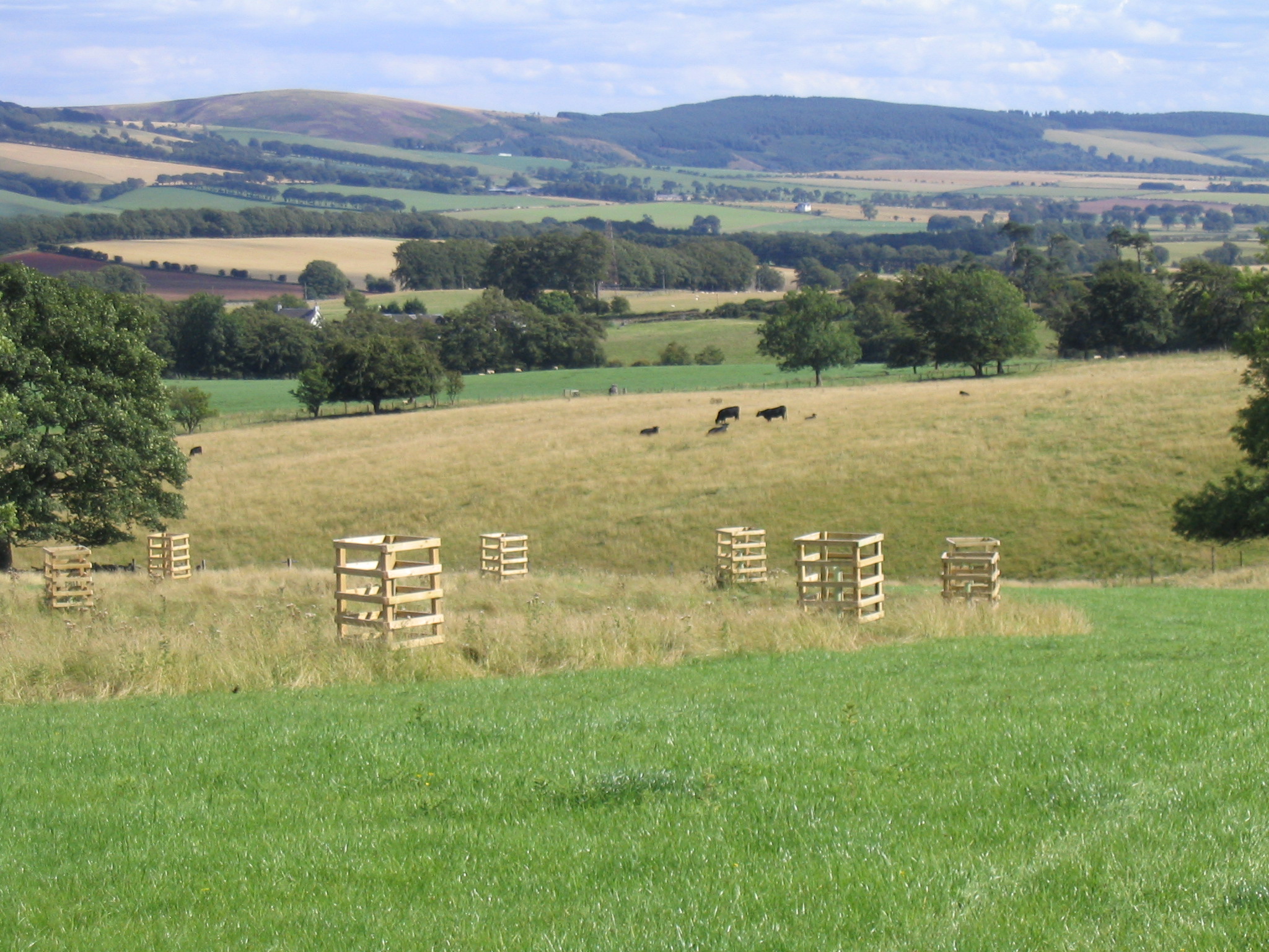 Woodlands a valuable resource for farmers, says BFT Woodlands a valuable resource for farmers, says BFT