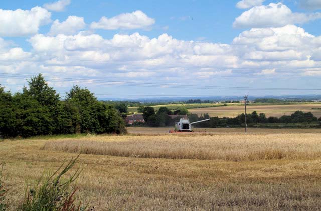 Farmland in the south 'outstripping the national average' Farmland in the south 'outstripping the national average'