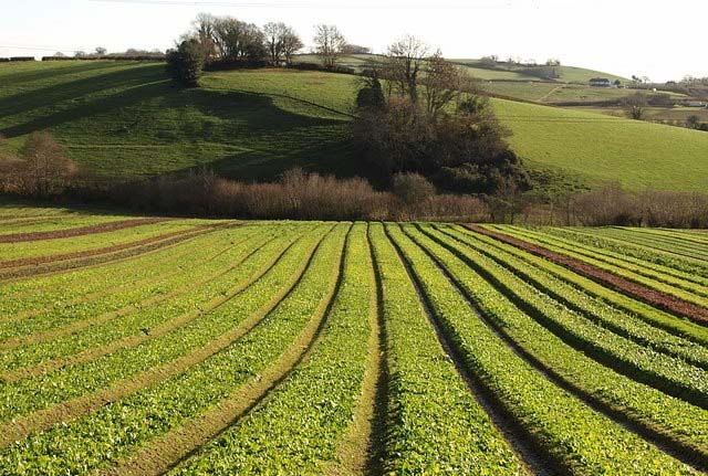 EU regulations 'threatening crop yields', says NFU EU regulations 'threatening crop yields', says NFU